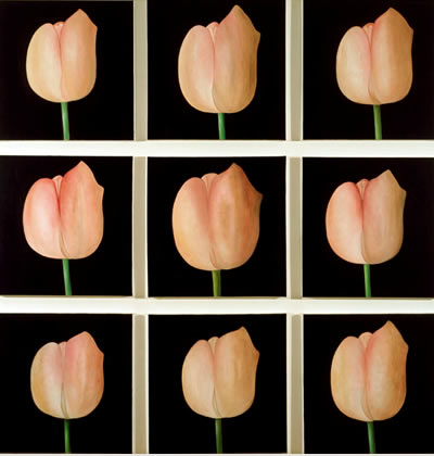 9 tulips by patrice moor